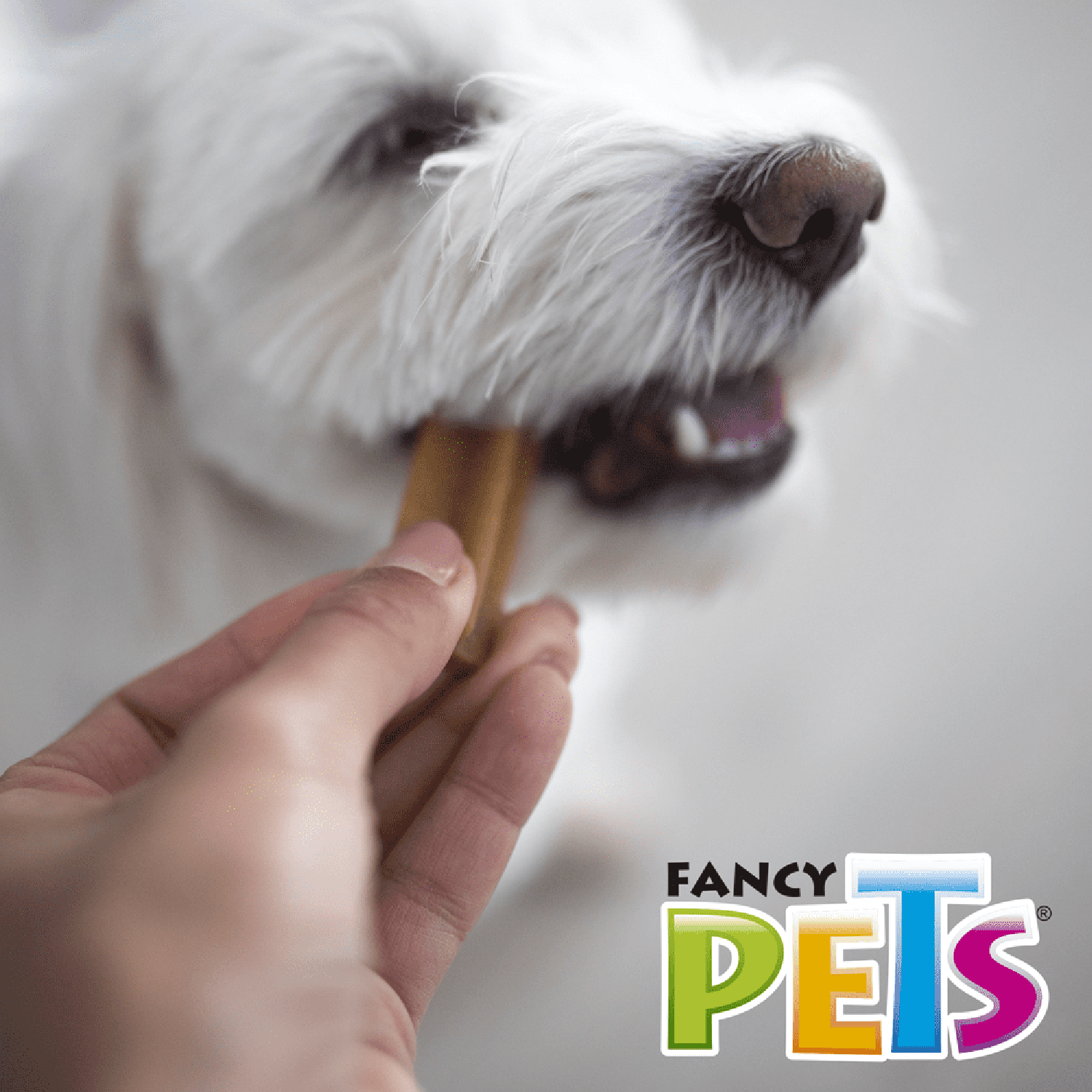 Fancy Pets premio para perro Yummy Sticks Carne 1 Pza 20 grs