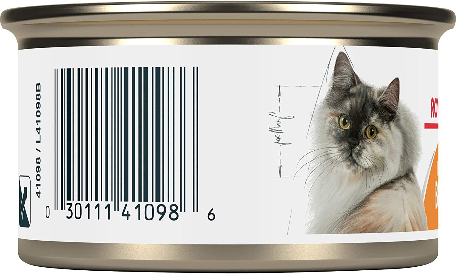 Cat food can Intense Beauty Wet Loaf Royal Canin