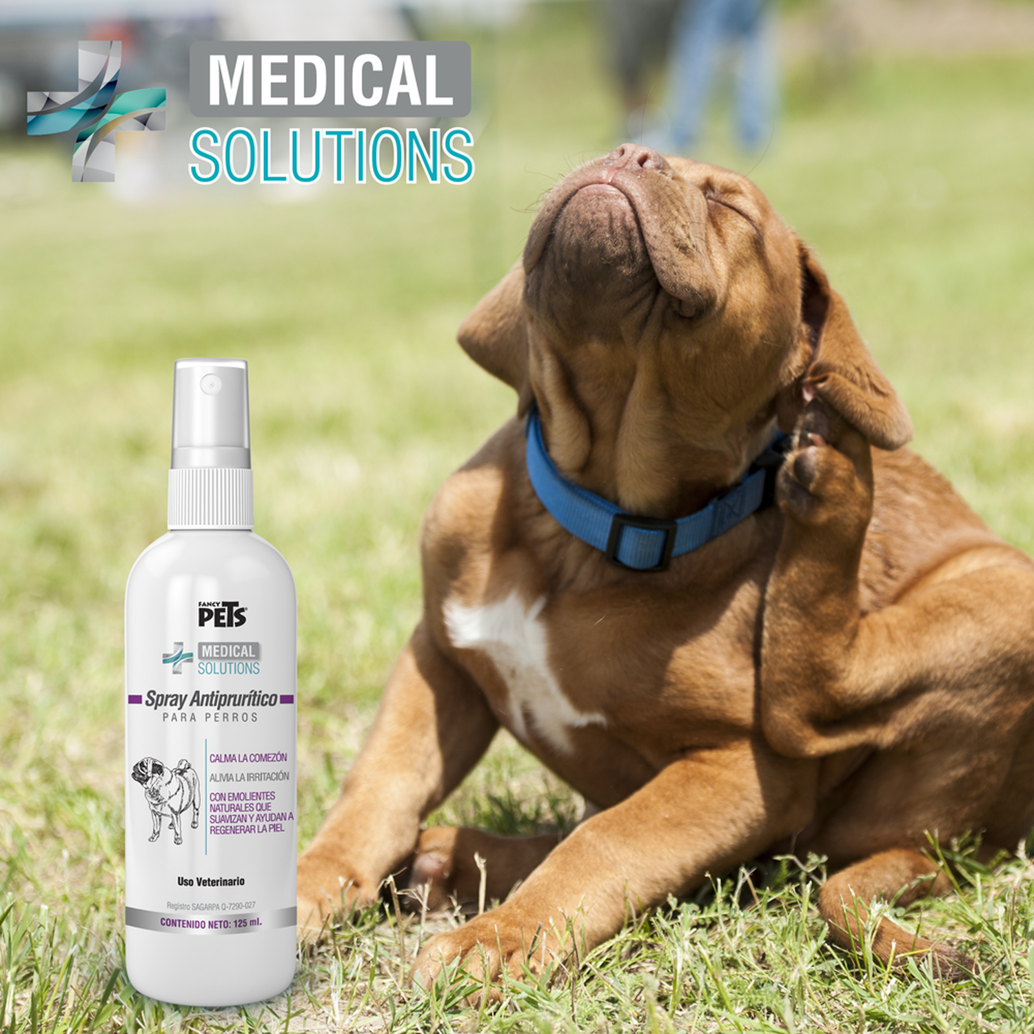 Antipruritic Spray for Dogs MS 125Ml irritations or bites