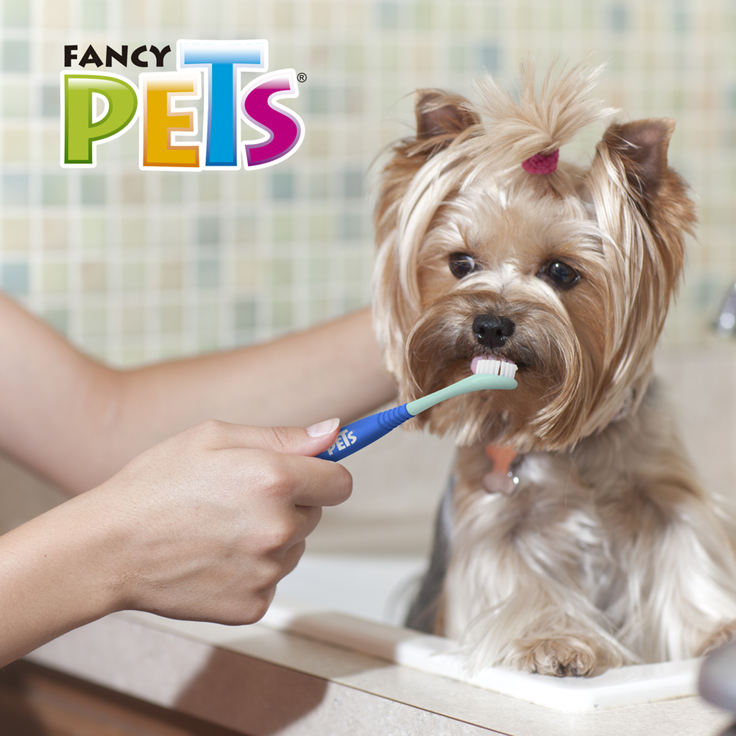 Fancy Pets cepillo dental 360 grados perro limpieza profunda