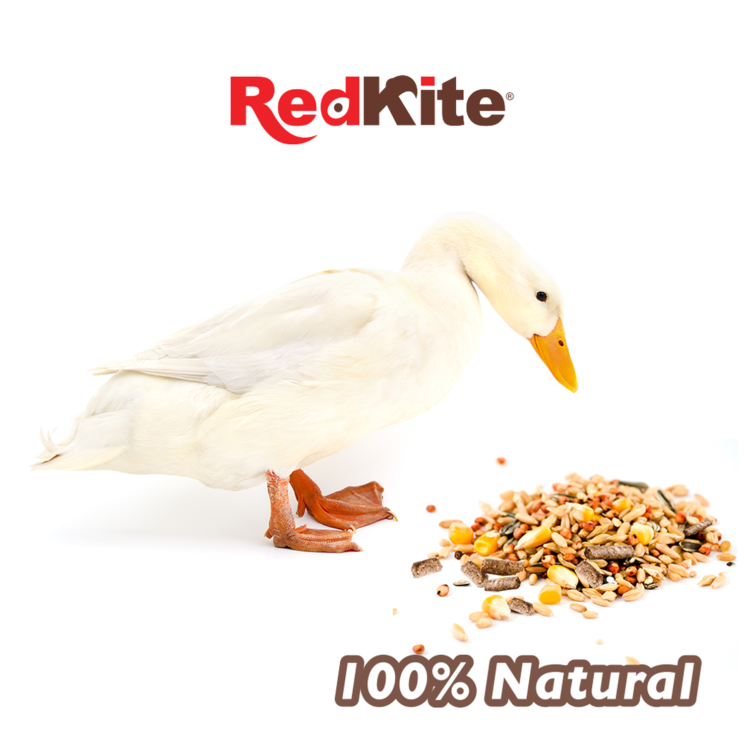 RedKite mezcla semillas alimento para pato adulto bolsa 1 kg