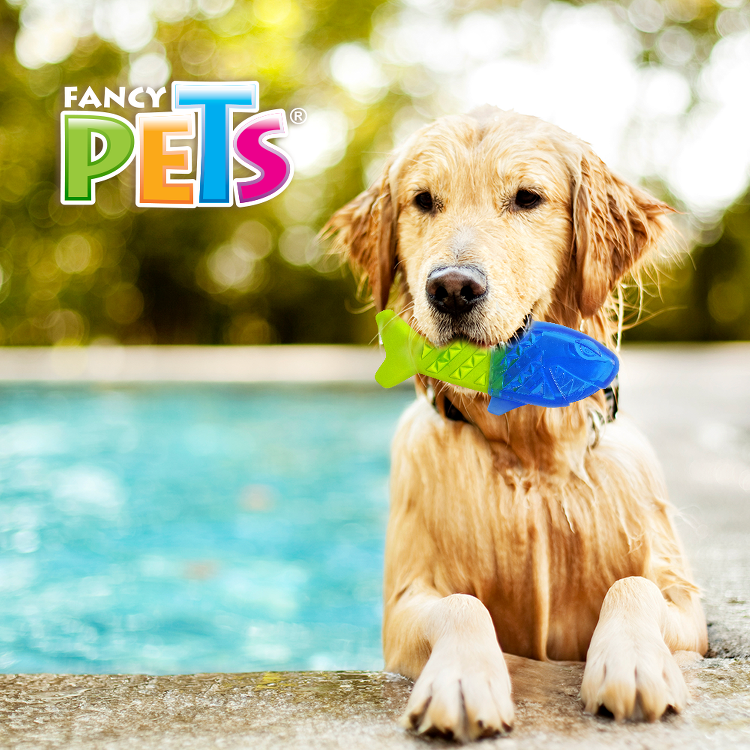 Juguete refrescante perro clima caliente congelable pez cool