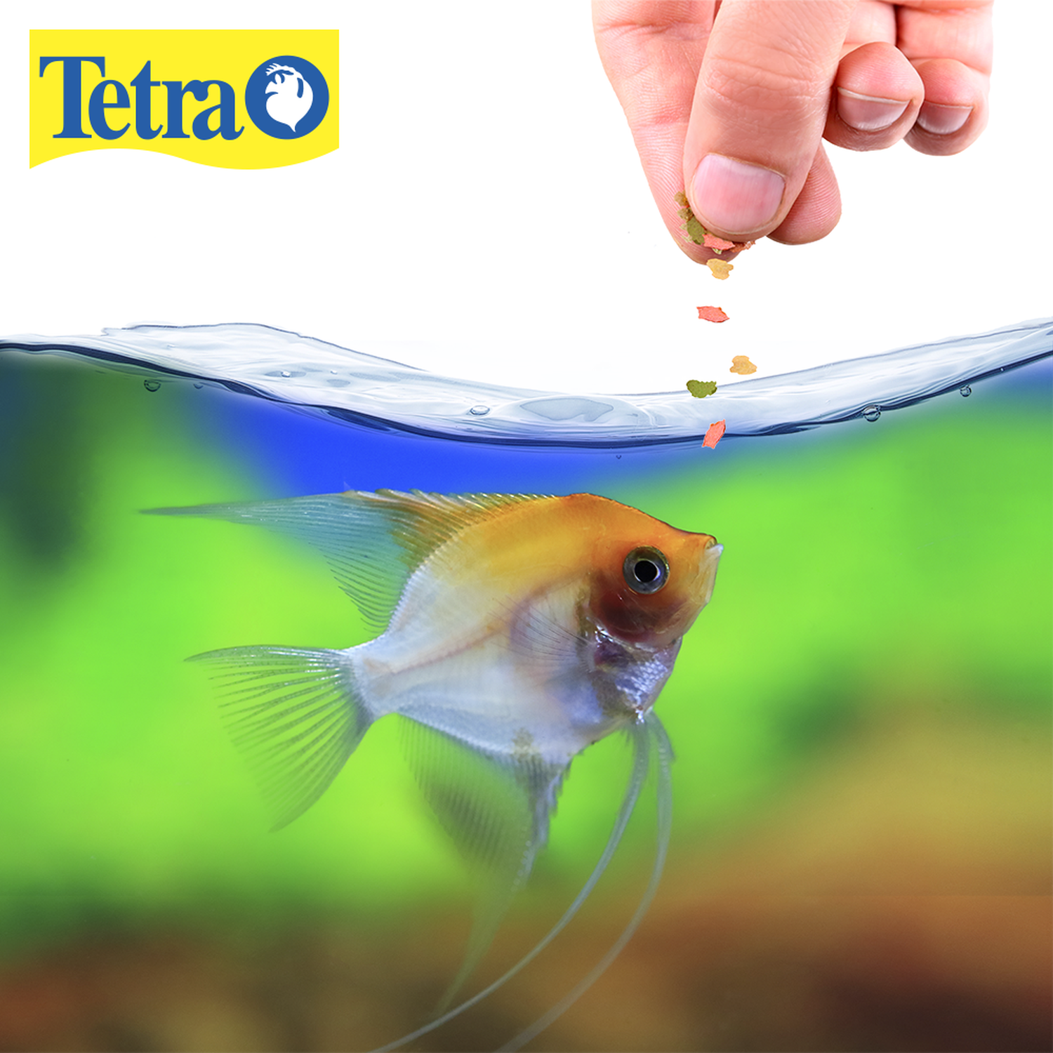 Tropical fish food Tetracolor Tropical Flakes 28 g