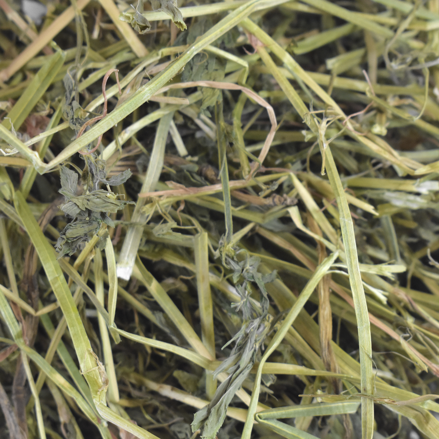 Redkite alfalfa hay whose rabbit chinchilla rodent 500 grs