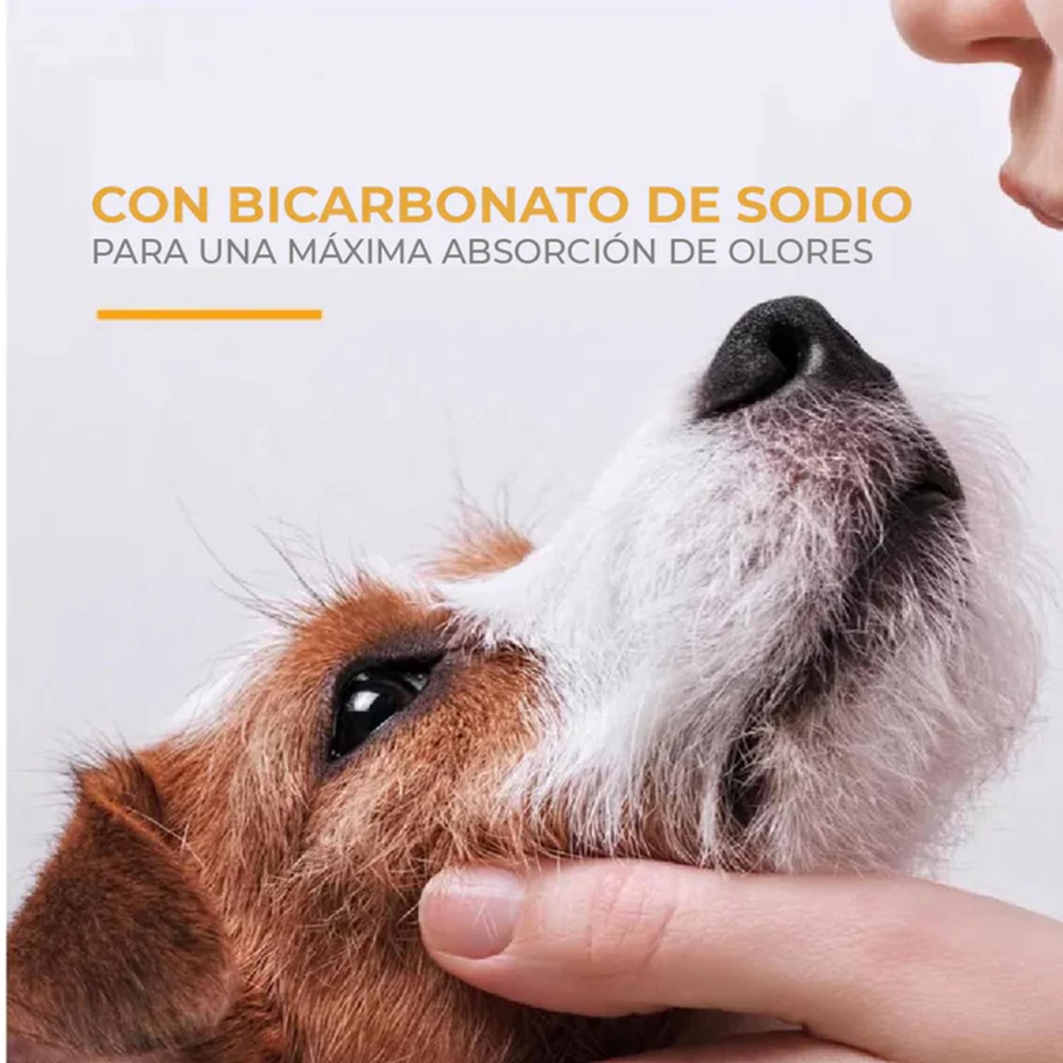 Arm & Hammer Shampoo para Perro Control Caída Pelo Guayaba 591ml