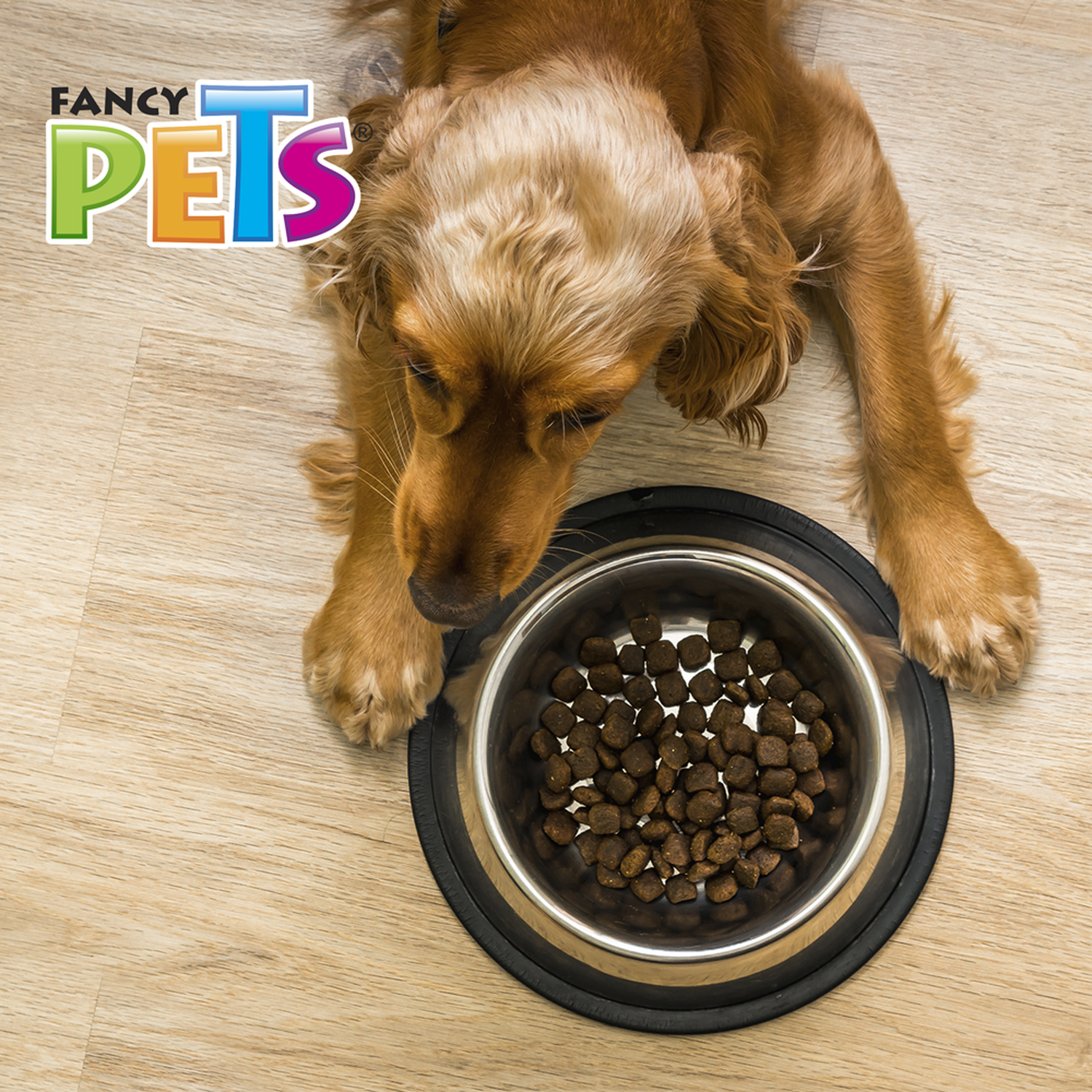 Fancy Pets Plato de acero perros 96oz o 2.7kg antiderrapante