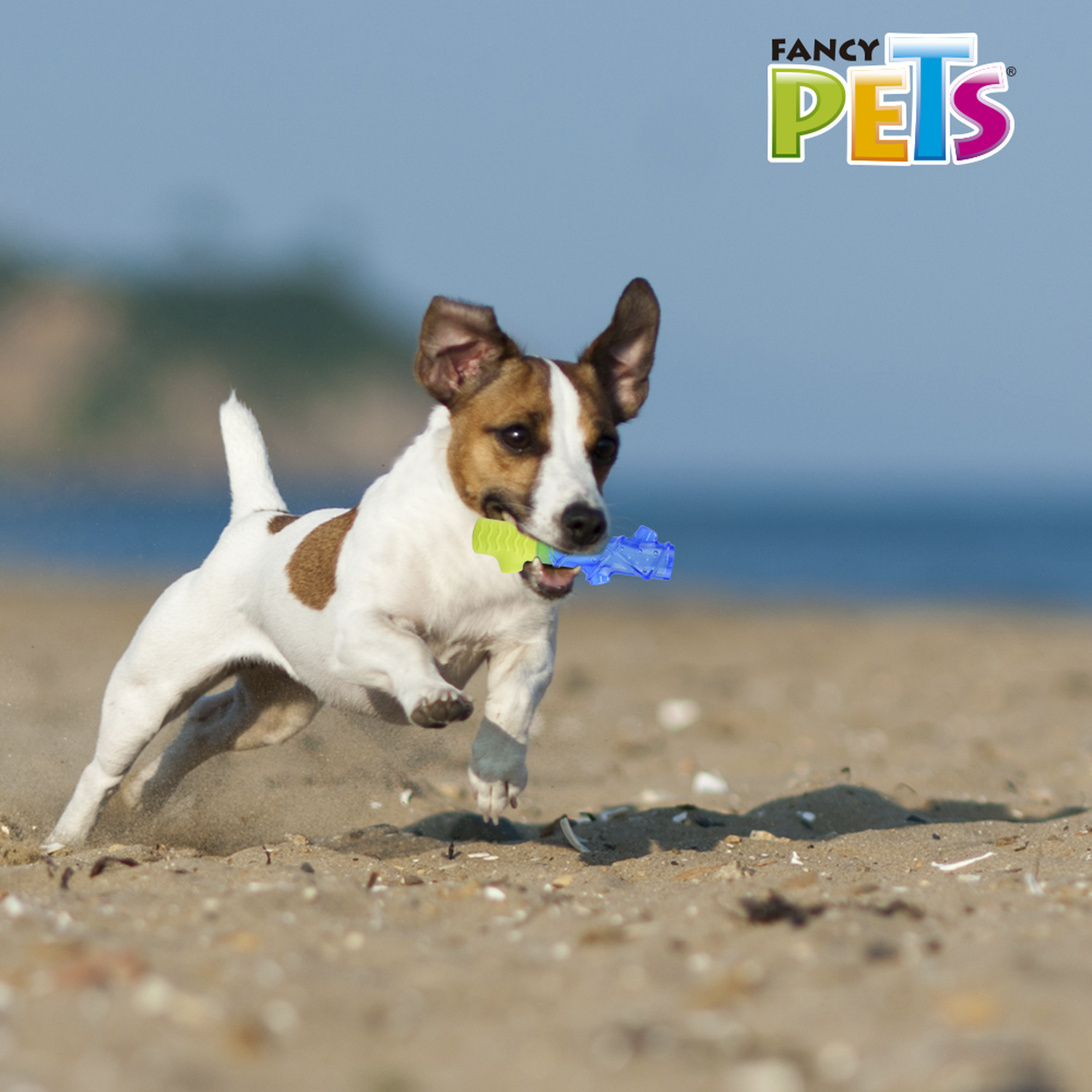Juguete refrescante perro clima caliente congelable tronco cool