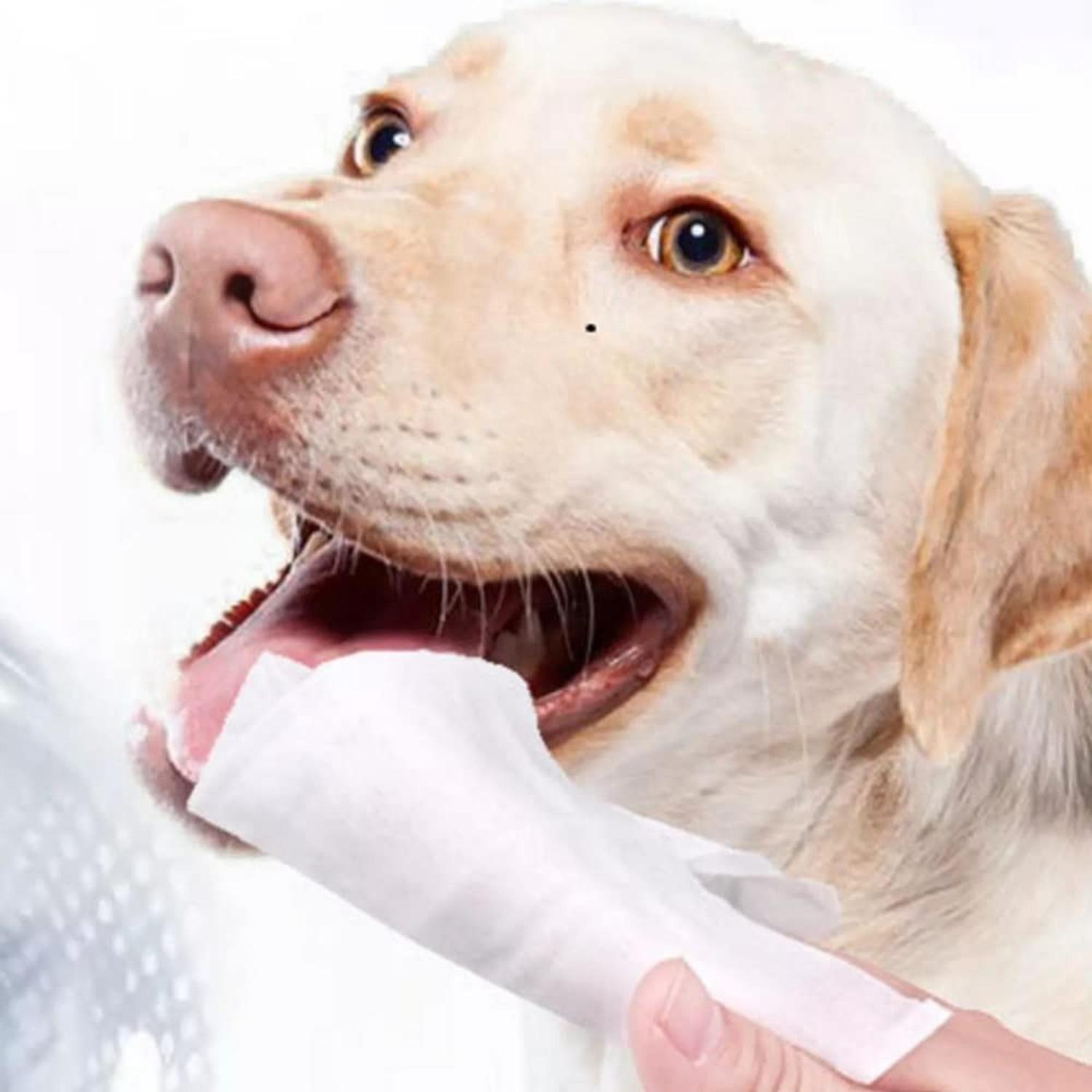 Fancy Pets Toallas Dentales Para Perros disminuye sarro