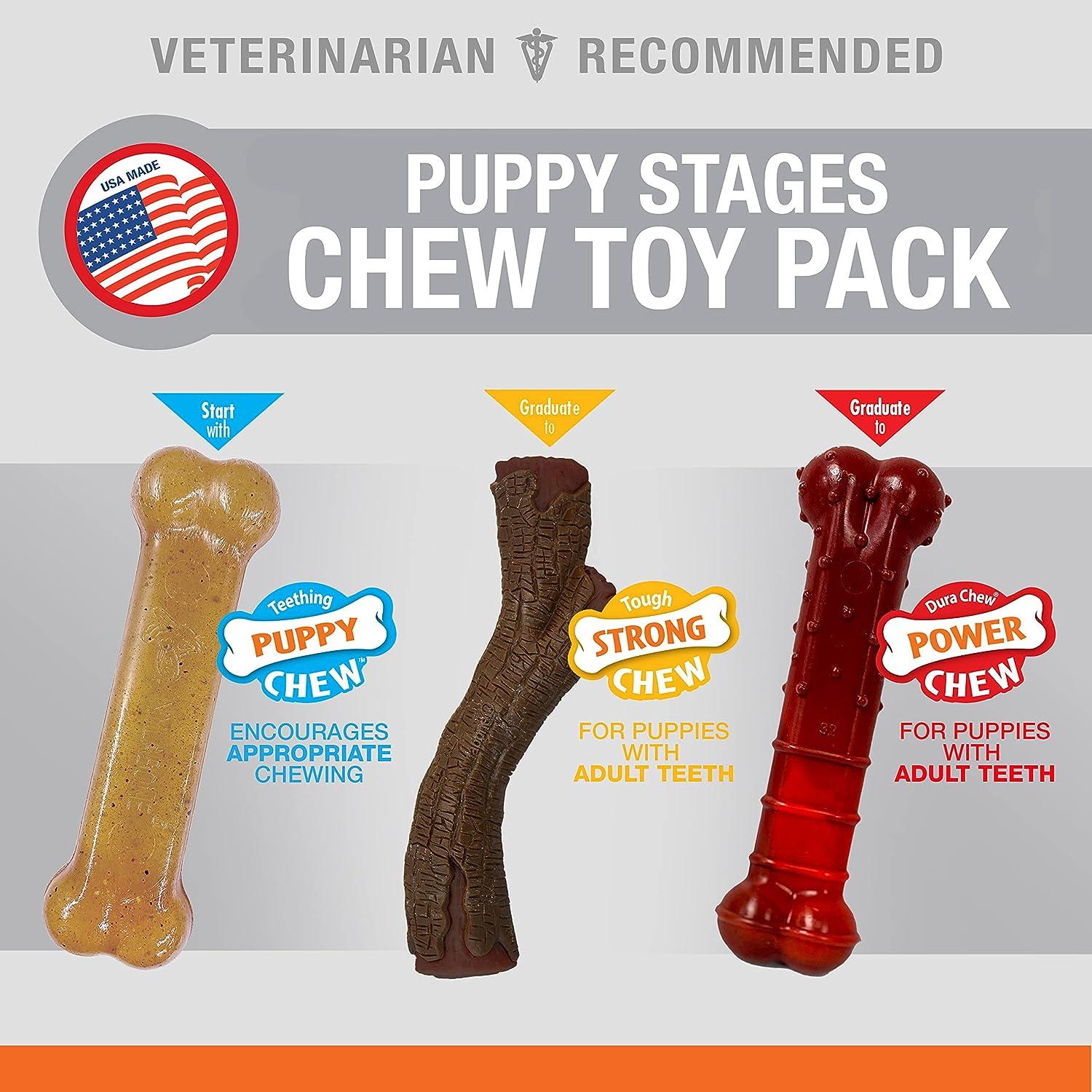 Juguete Nylabone perro Paquete Etapas Cachorrito 16kg