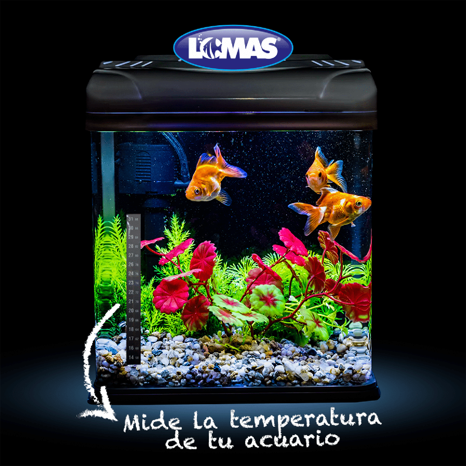 Lomas Termometro peces acuarios peceras externo adherible
