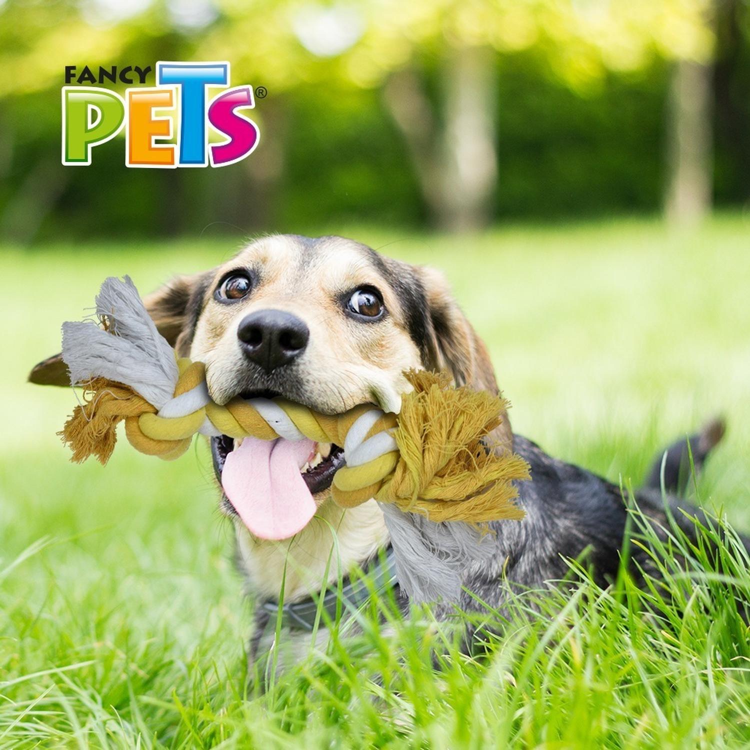 Juguete perro Hueso De Hilo dental Colores Surtidos 35 Cm