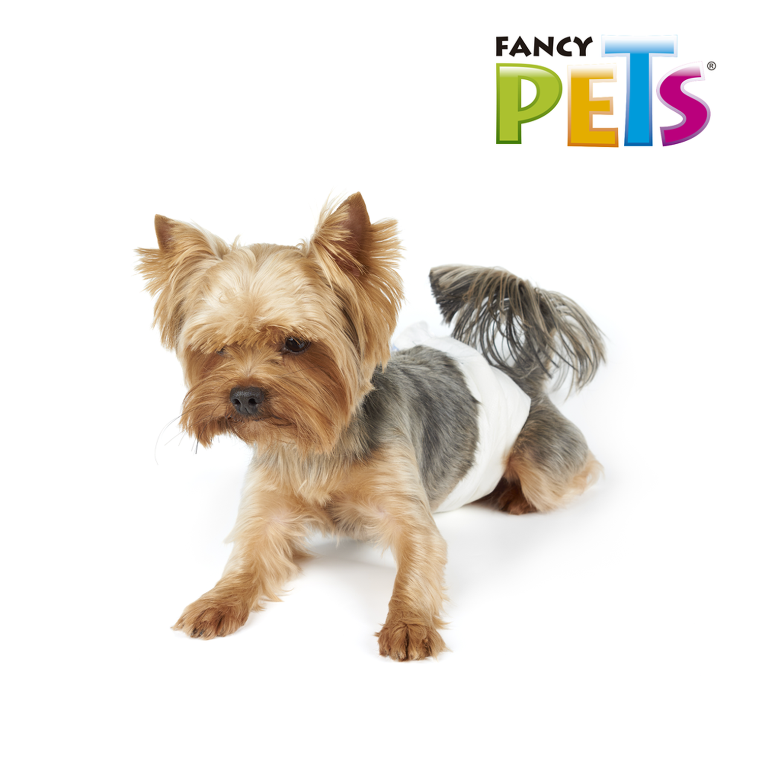 Dry Pet Pañales para perro tamaño extra chico 12 piezas | G.Valkyria - imagen 4