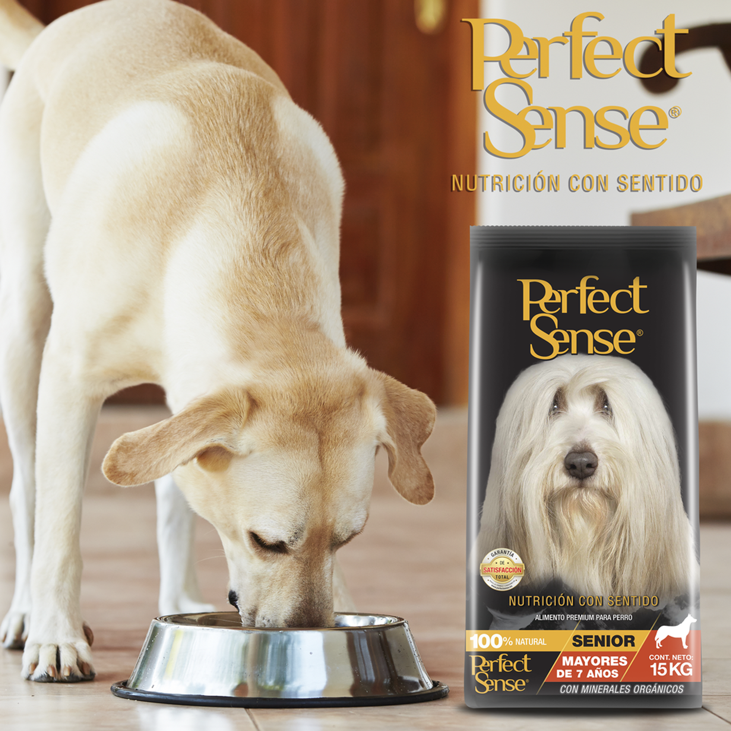 Alimento para perro viejito Perfect Sense Senior 15 Kg