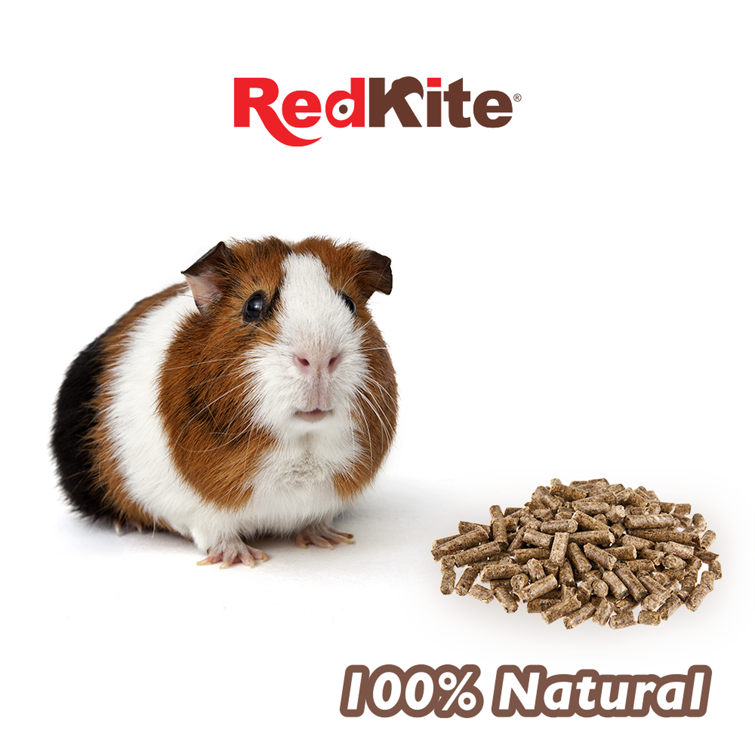 Redkite Food For Whose 850 grams balanced diet