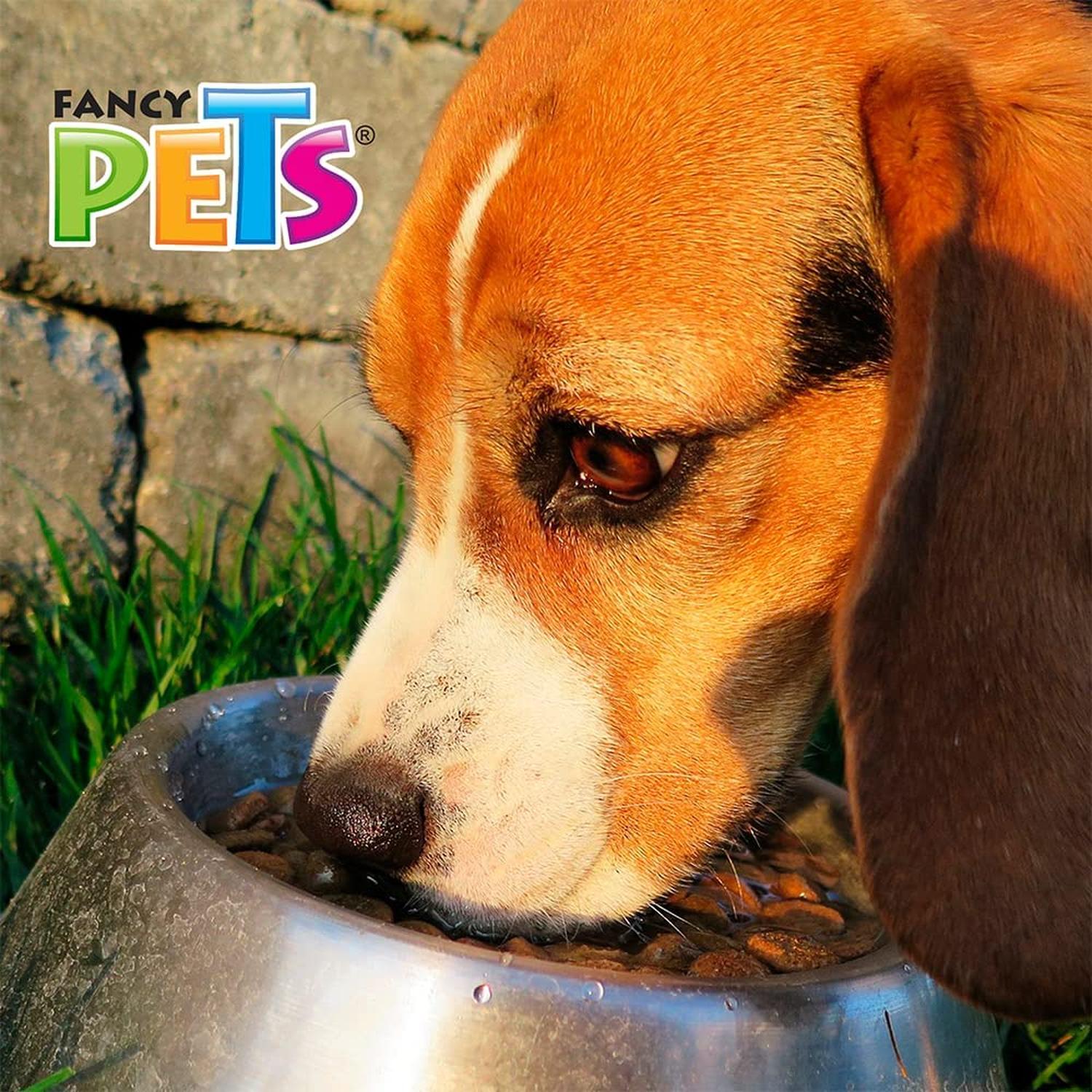 Fancy Pets Steel Dog Bowl 473 Ml/ 16 Oz