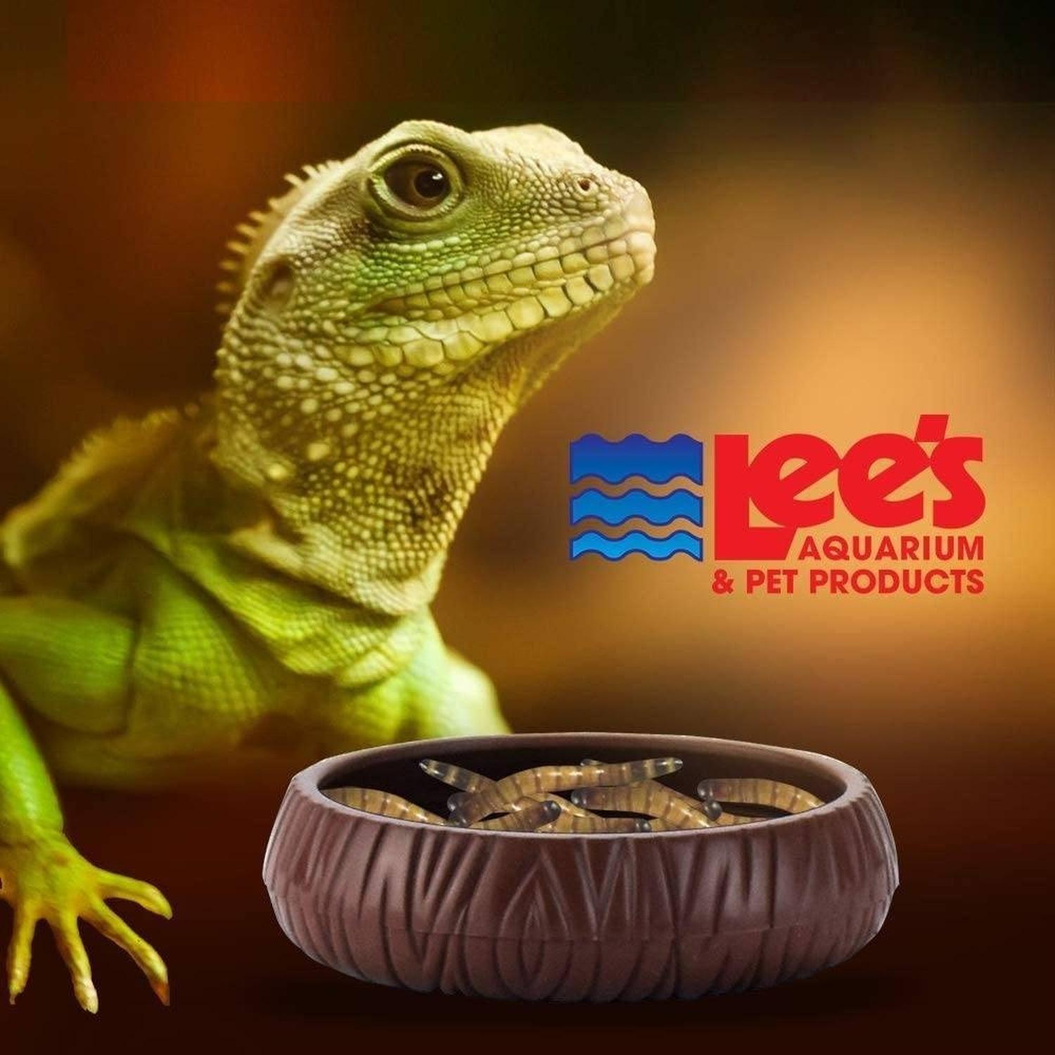 Lee's Plato Para Gusanos larvas insectos Ideal Para Reptiles
