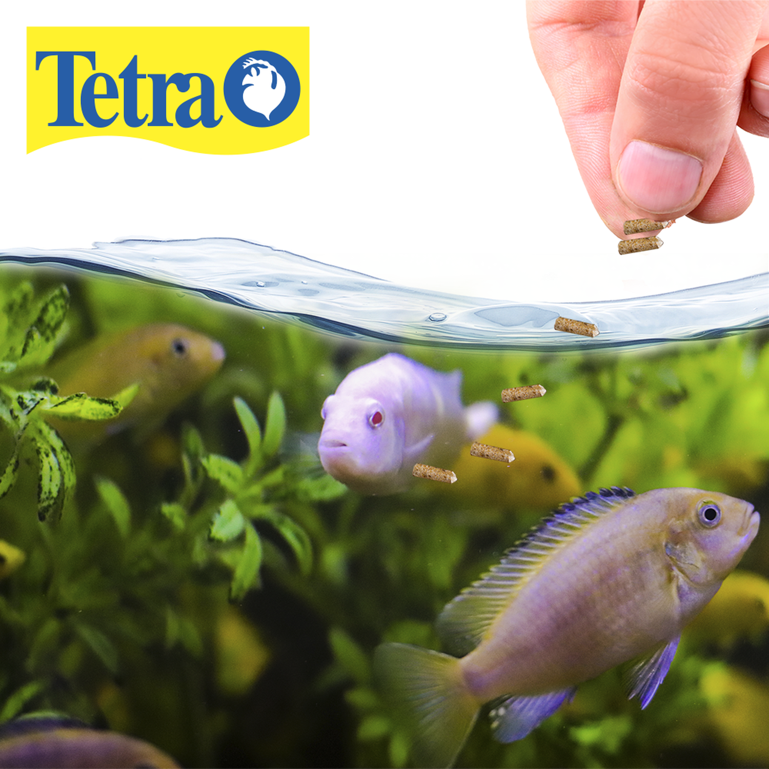 Alimento para ciclidos Tetra TETRACICHLID JUMBO STICKS 210G