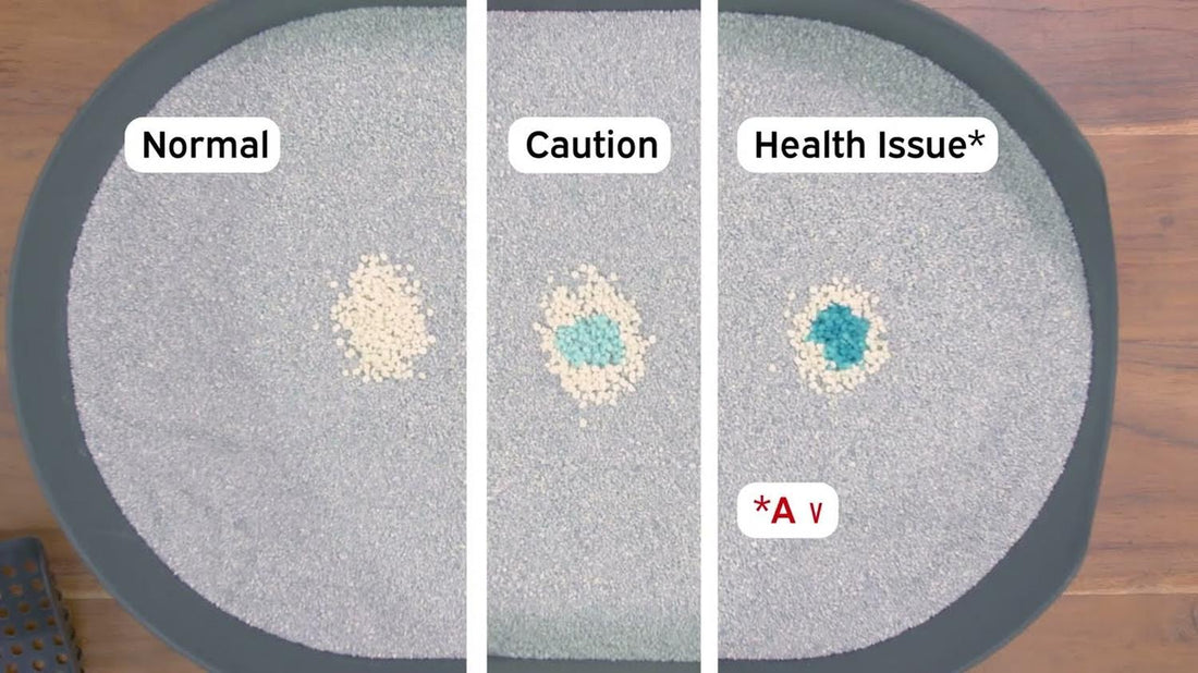 jpg_1500x1500_68916834