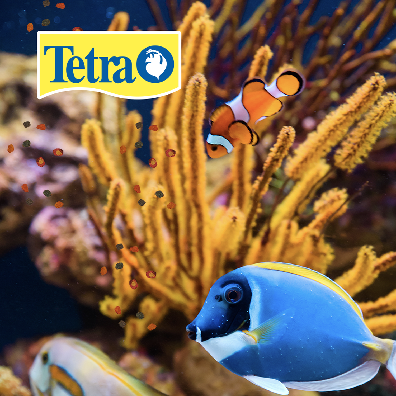 TetraMin food tropical fish flakes 28g neon, angel,