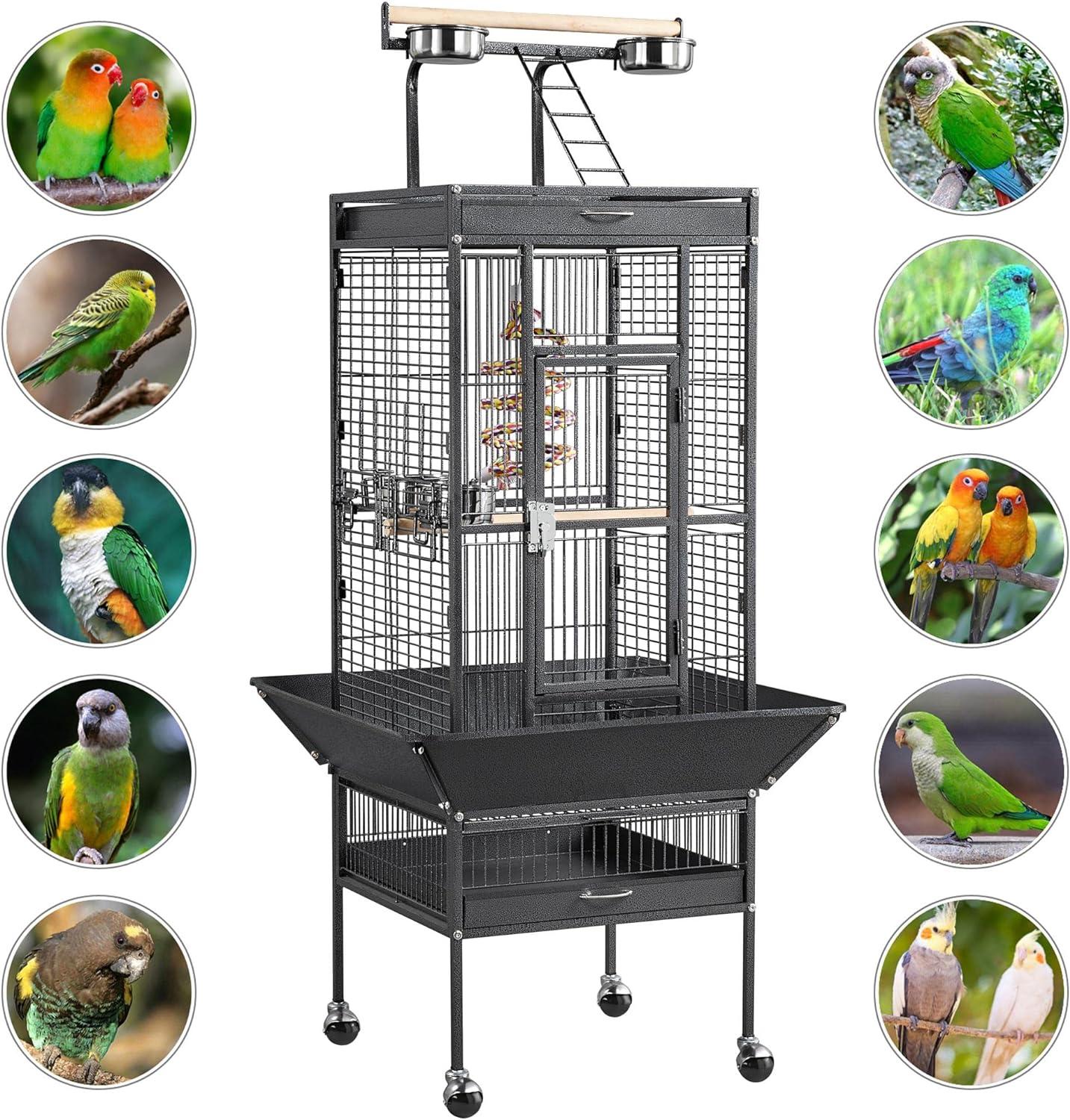 Redkite Guayaquil Parrot Cage Measures 83x77x168 Cms