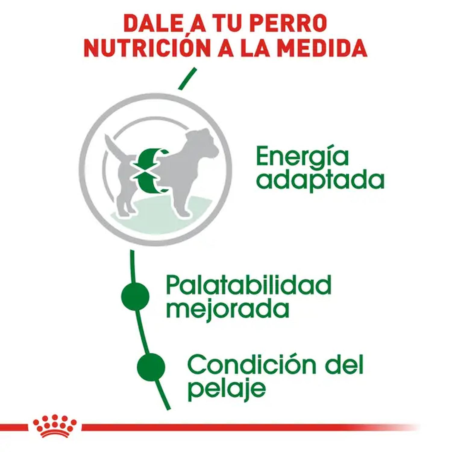 jpg_1500x1500_69182407