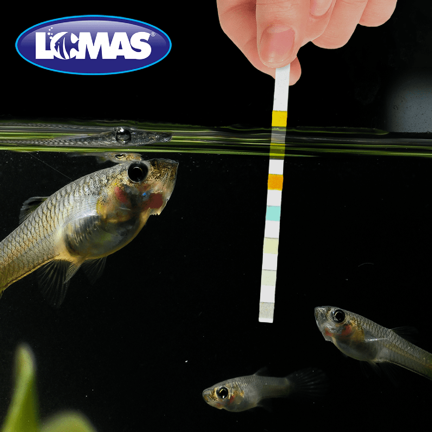 Lomas Tiras Reactivas para Acuario Medición 7 Parametros
