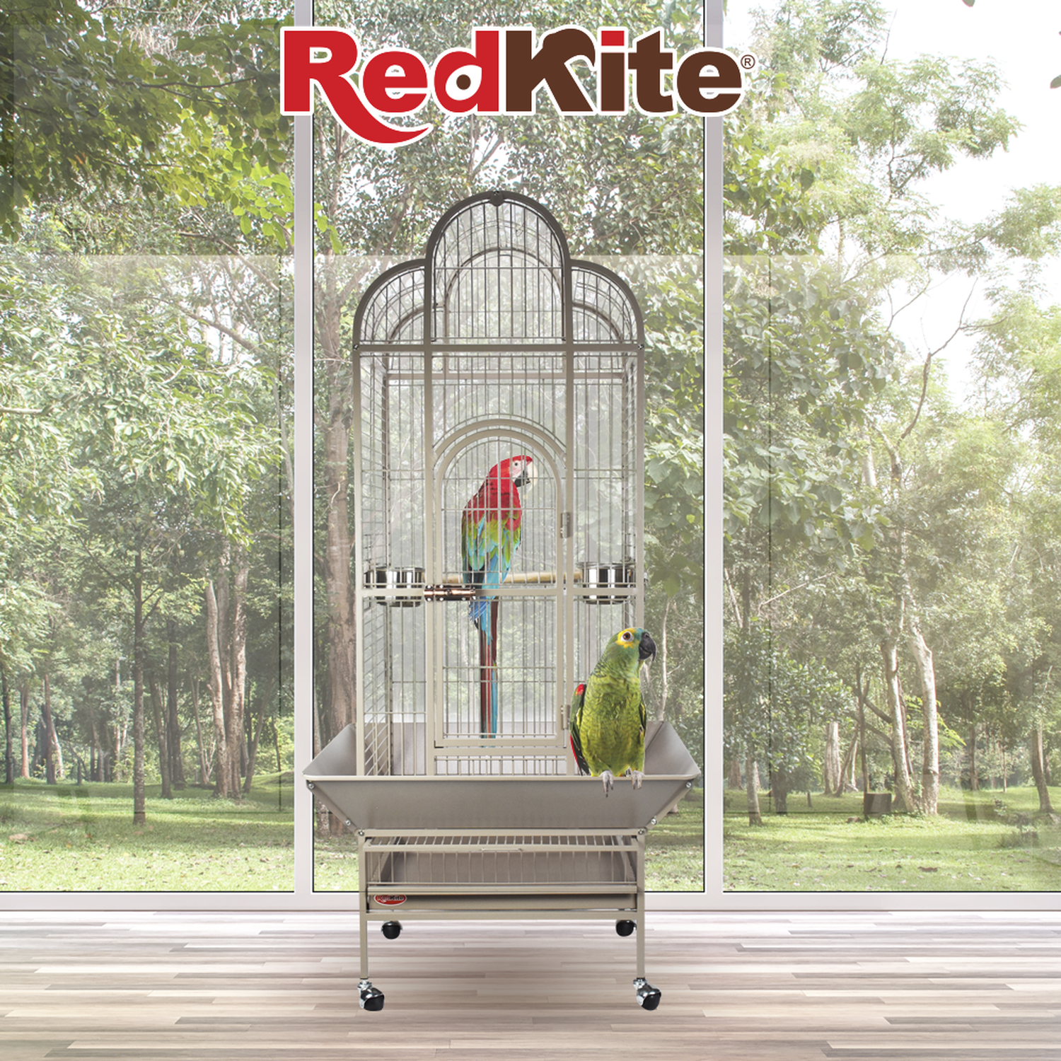 CageRedkite Macondo 79x79x166 Cms For Parrots
