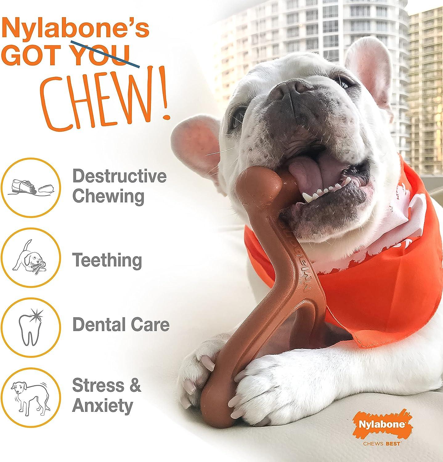 Juguete Nylabone perro Dura Power Chew sabor Original 7kg