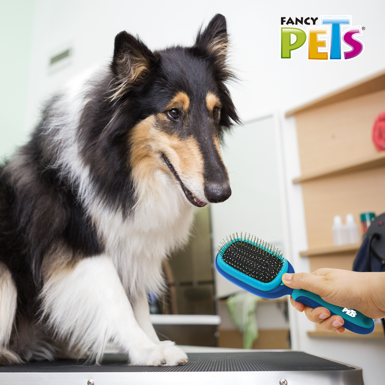 Fancy Pets kit cepillo 5 cabezas intercambiables para perro