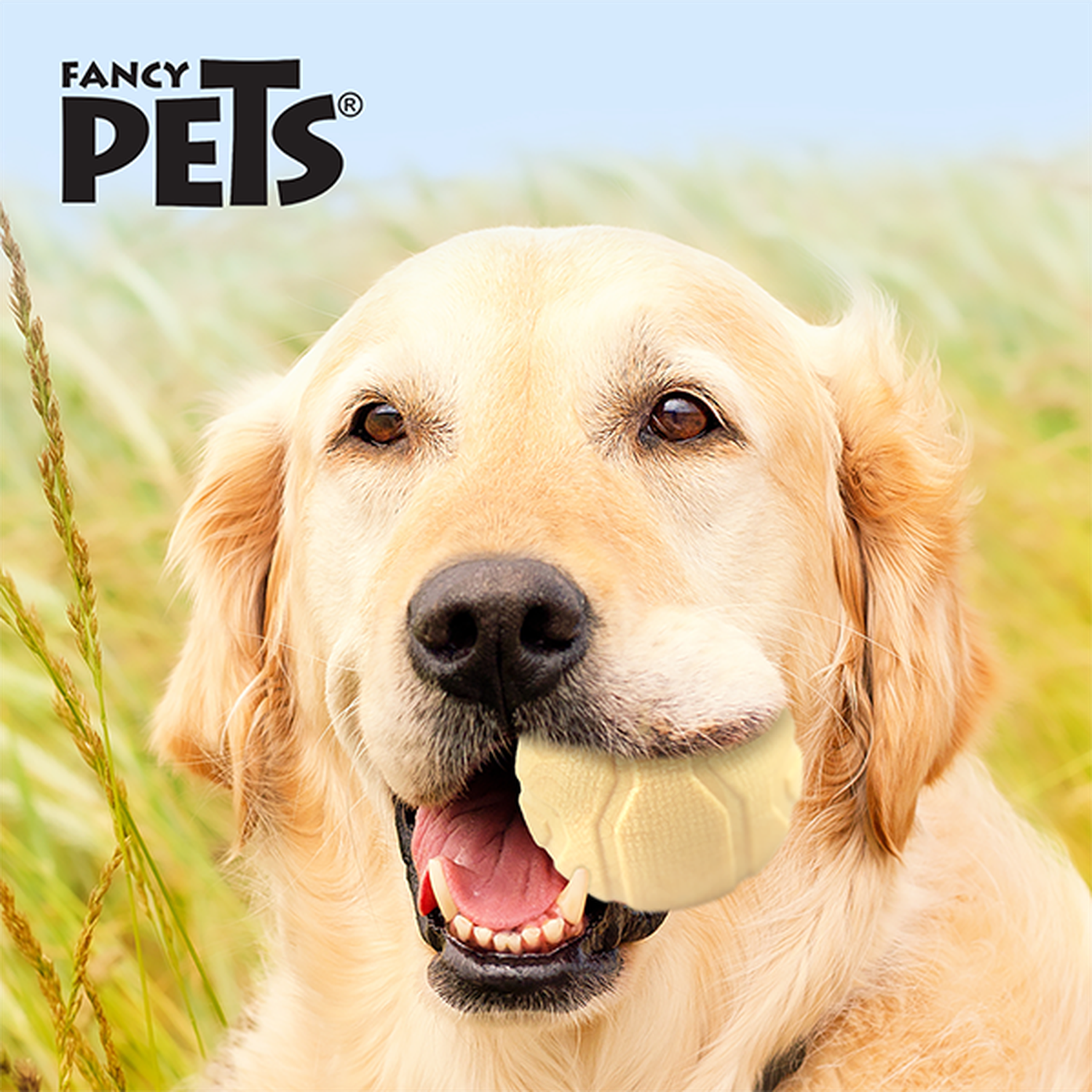 Fancy Pets Sniff Senses Vanilla Scented Dog Ball Toy