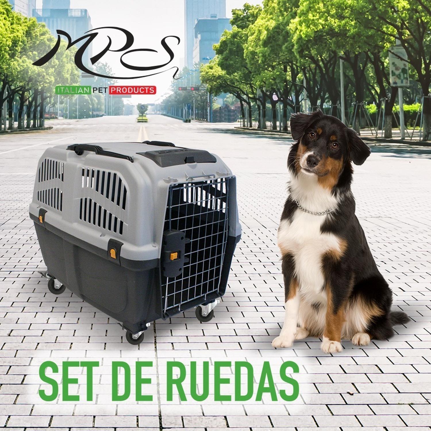 Set De Ruedas Para Transportadora de perros Skudo Iata