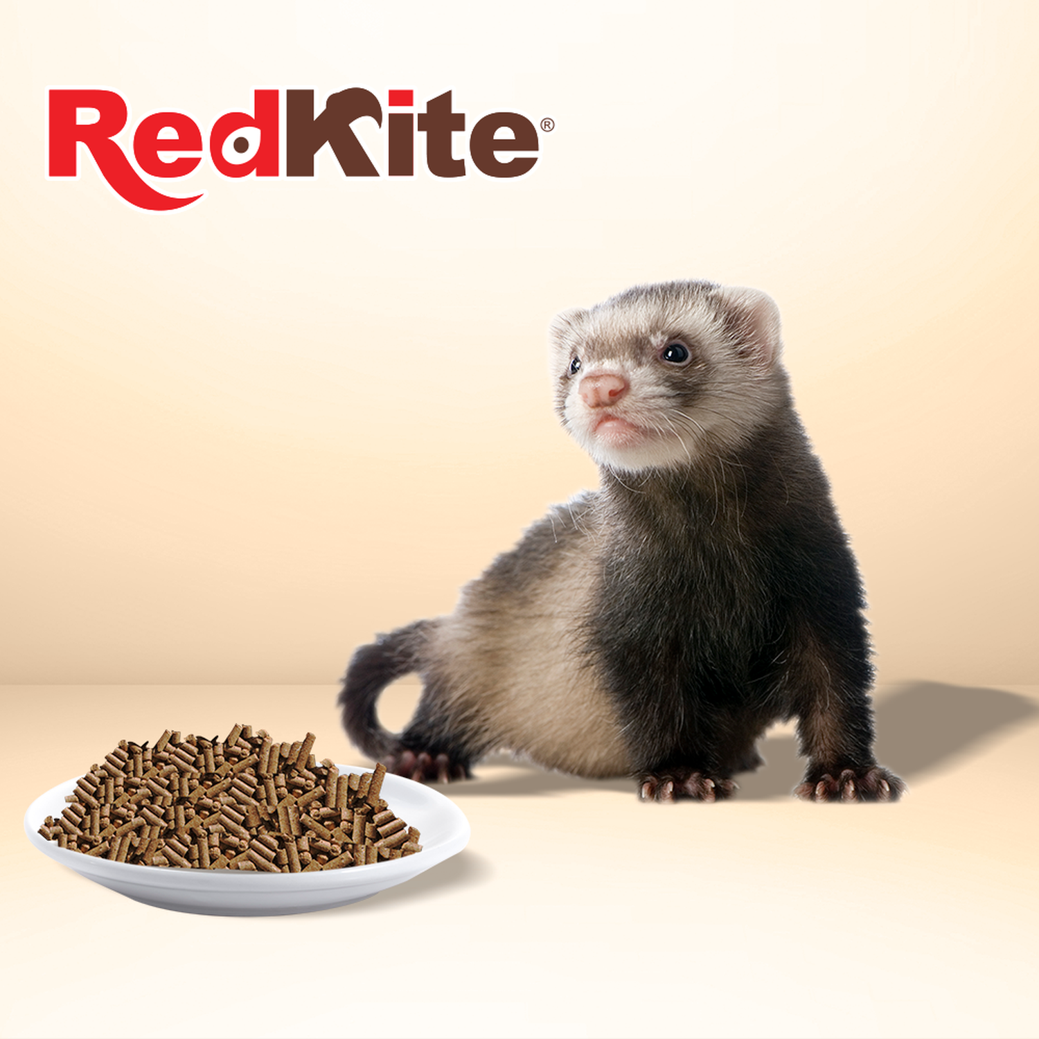 Premium Food for Ferrets 850 G Redkite balanced formula
