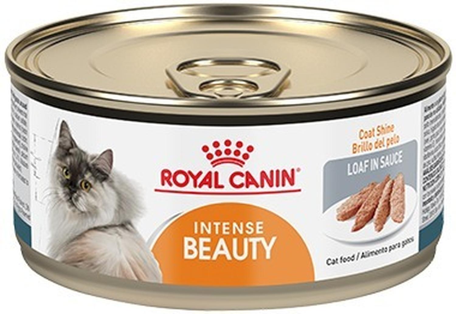 Cat food can Intense Beauty Wet Loaf Royal Canin