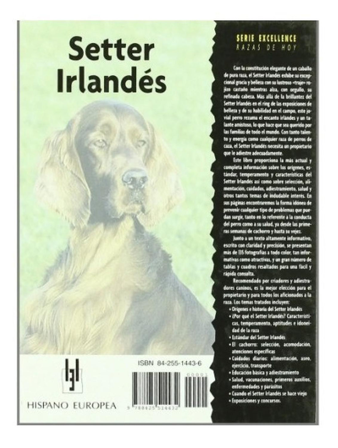 Libro De Raza Excellence Tapa Dura Setter Irlandés de Editorial Hispano Europea | G.Valkyria