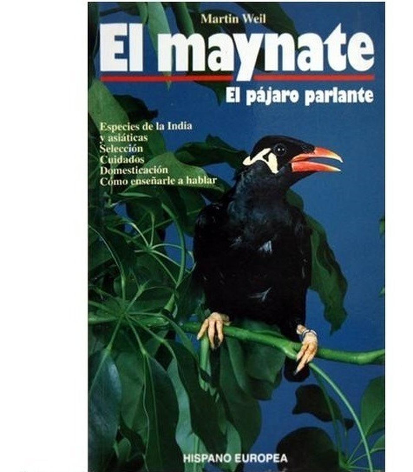 Libro El Maynate L Ed Hispano Europea de Editorial Hispano Europea | G.Valkyria