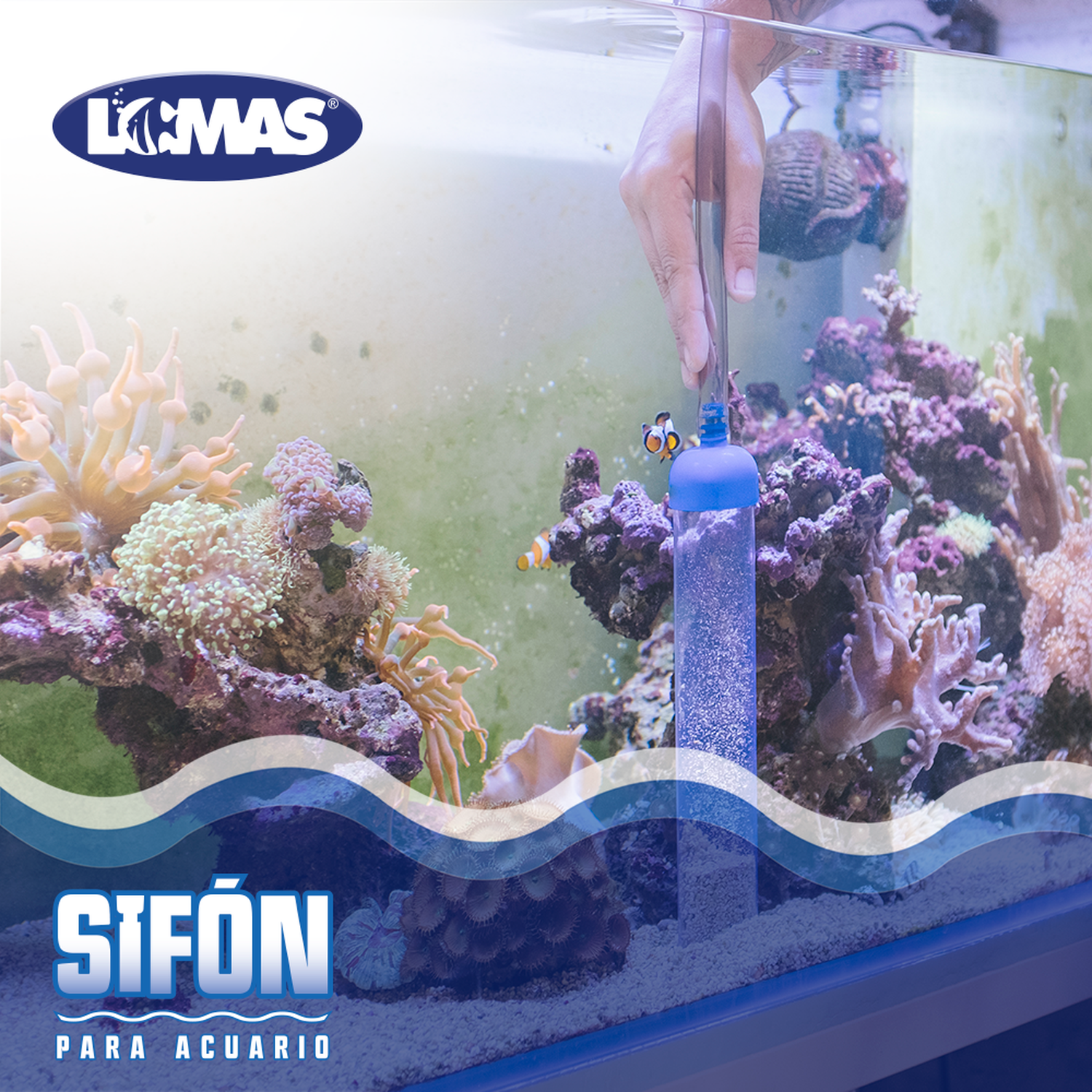 LOMAS sifon aspirador fondo mediano para limpieza de acuarios