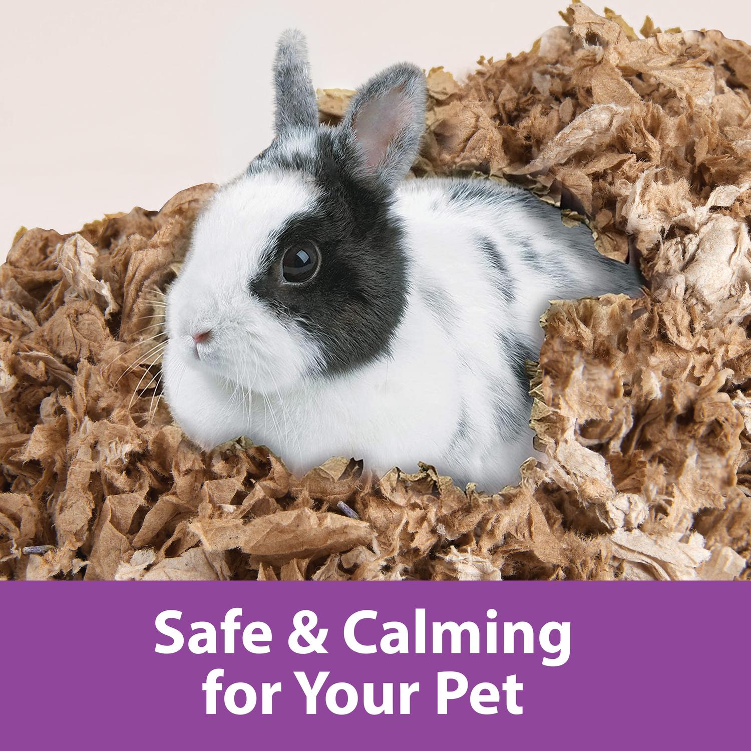 Kaytee Rabbit Bed Substrate Clean &amp; Cozy Lavender 24.6L