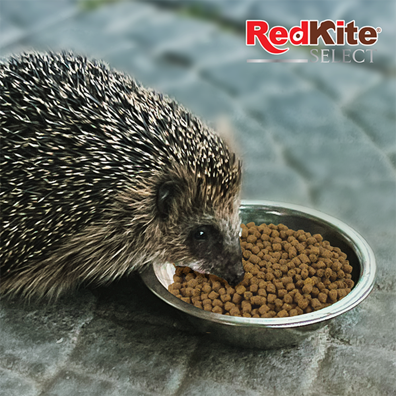 Red Kite food for hedgehogs Select Immune Plus 800 grs