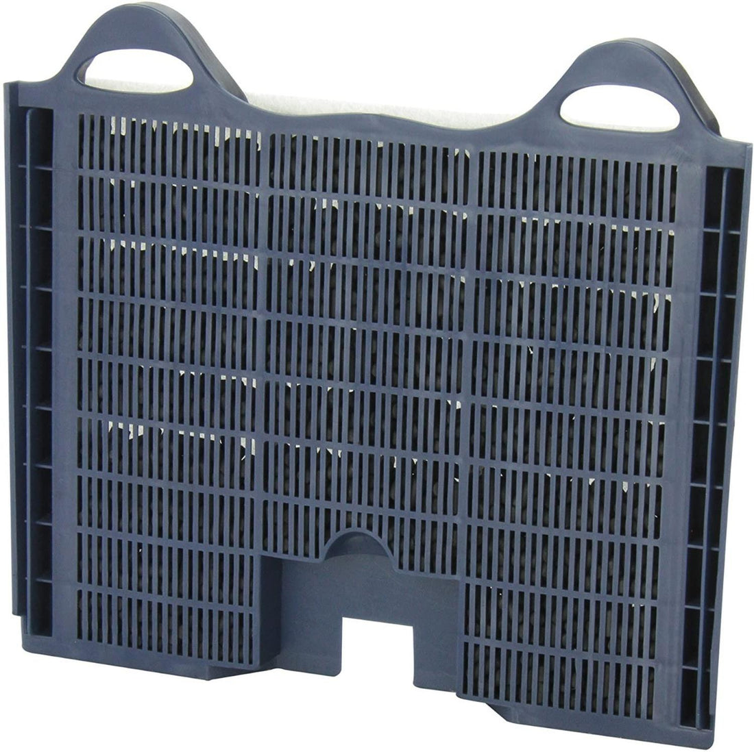 Repuesto Carbon Para Filtro Elite Hush 55 Caja Con 2 Pzas | G.Valkyria - imagen 1