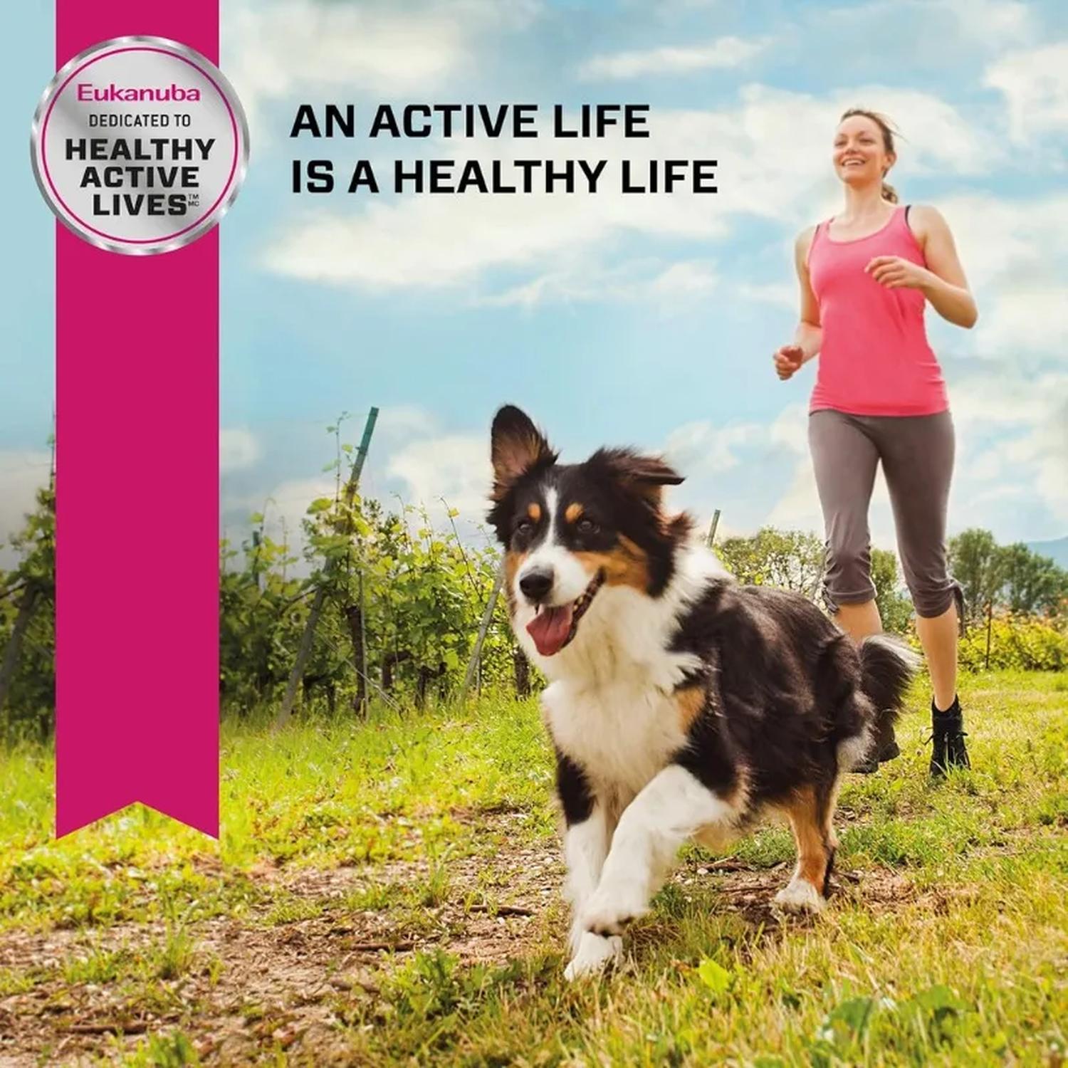 Eukanuba alimento para perro adult beef & veggies 355g | G.Valkyria - imagen 4