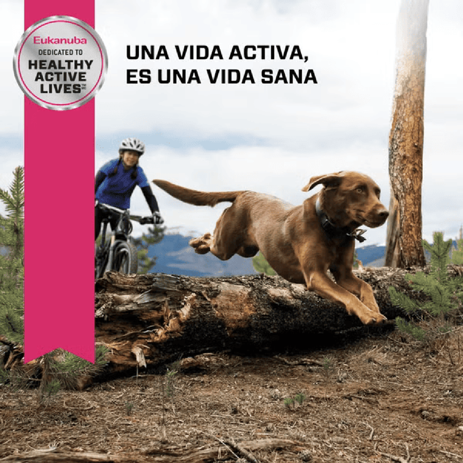 Eukanuba alimento para perro adult raza grande 13.61kg | G.Valkyria - imagen 3