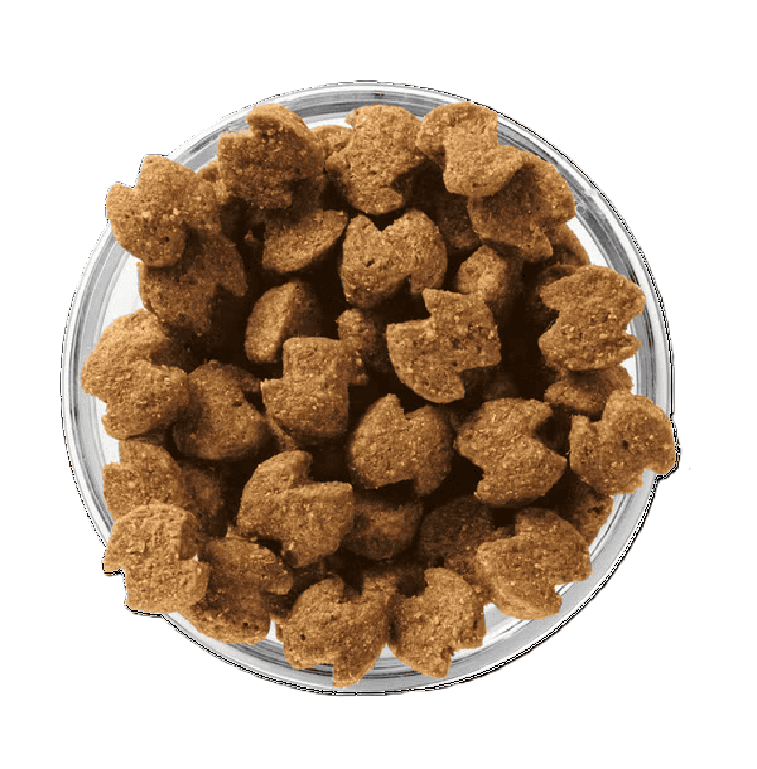 Eukanuba alimento para perro adult raza mediana 2.04kg | G.Valkyria - imagen 2