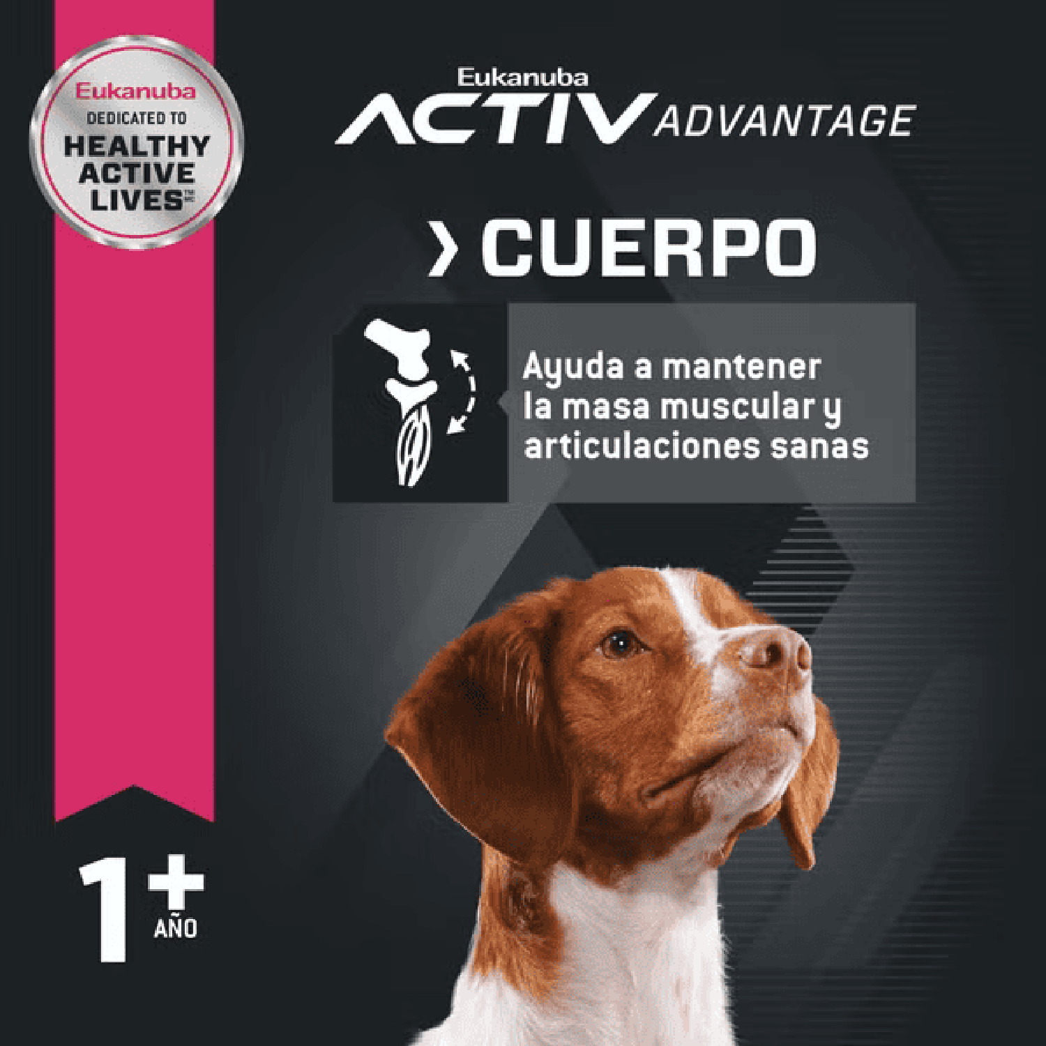 Eukanuba alimento para perro adult raza mediana 2.04kg | G.Valkyria - imagen 4
