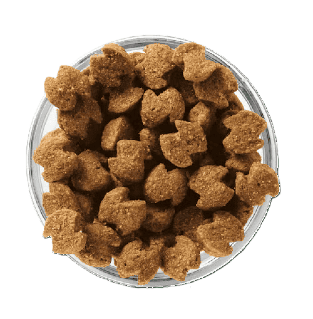 Eukanuba alimento para perro adult raza pequeña 6.81kg | G.Valkyria - imagen 1