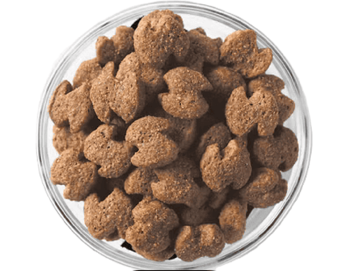 Eukanuba alimento para perro fit body raza pequeña 6.81kg | G.Valkyria - imagen 1