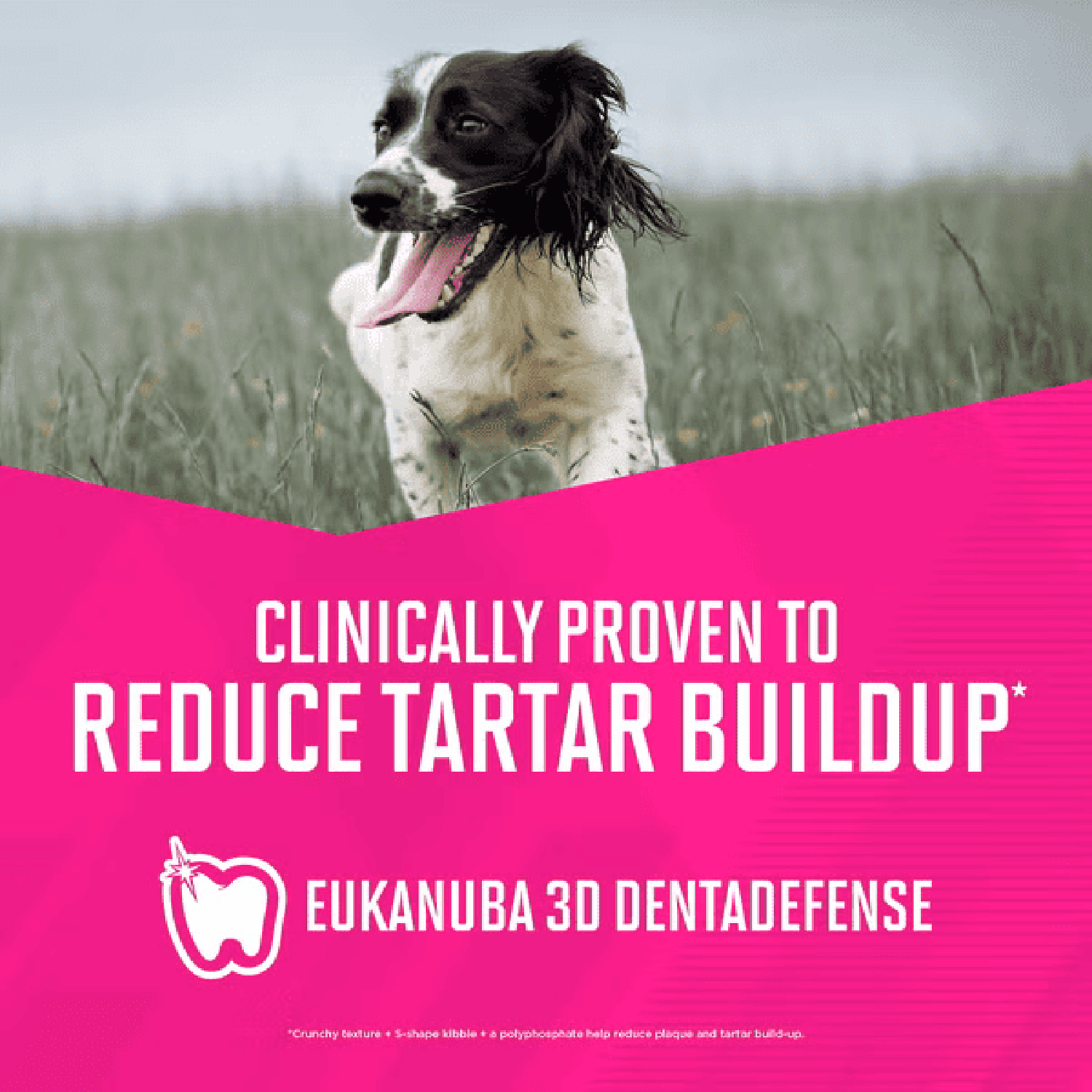 Eukanuba alimento para perro premium work 18.15kg | G.Valkyria - imagen 2