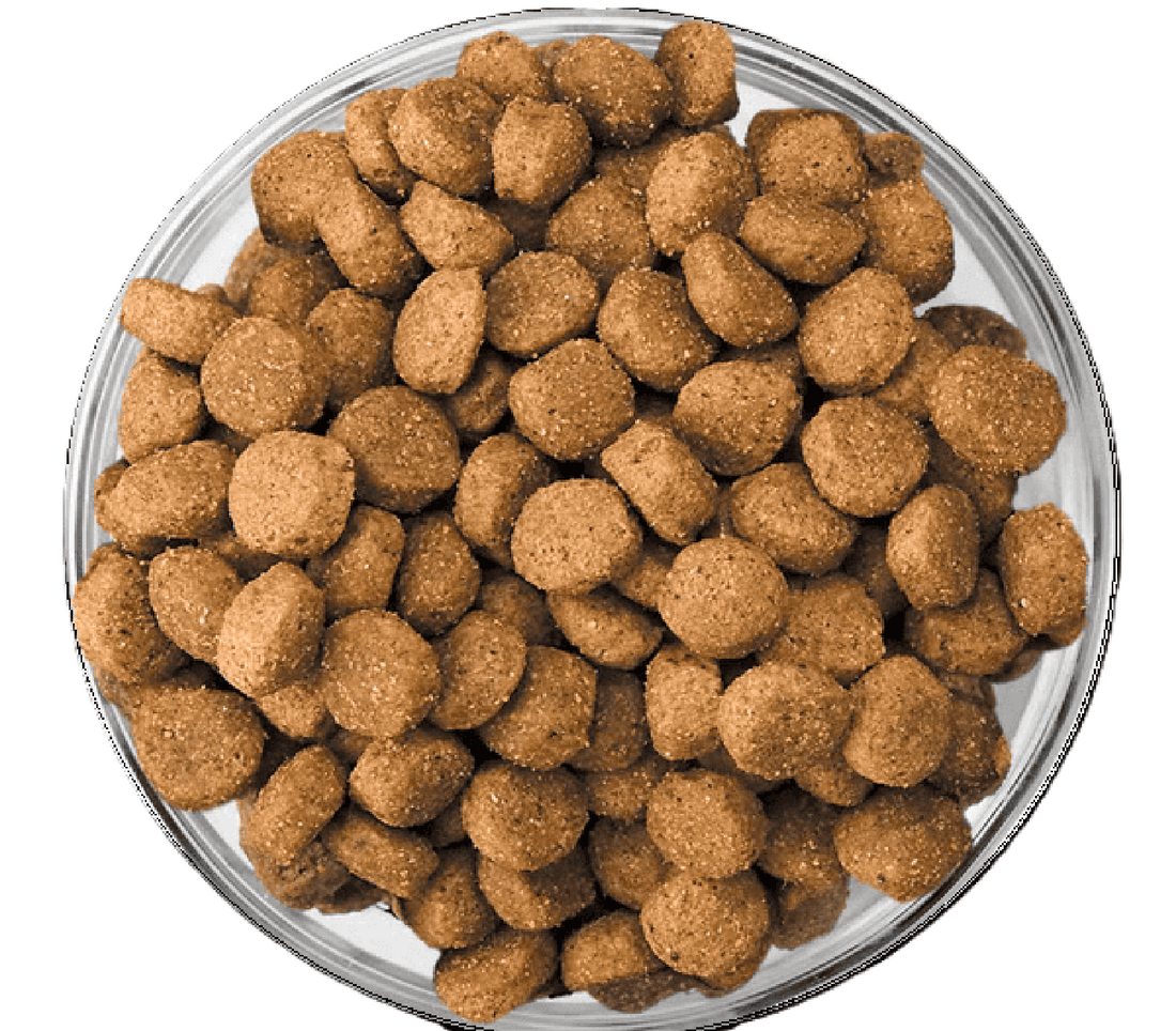 Eukanuba alimento para perro puppy raza mediana 13.61kg | G.Valkyria - imagen 1