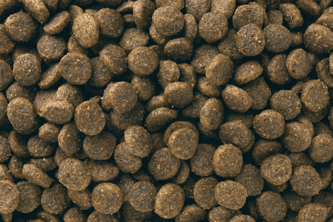 Eukanuba alimento para perro puppy raza pequeña 2.04kg | G.Valkyria - imagen 1