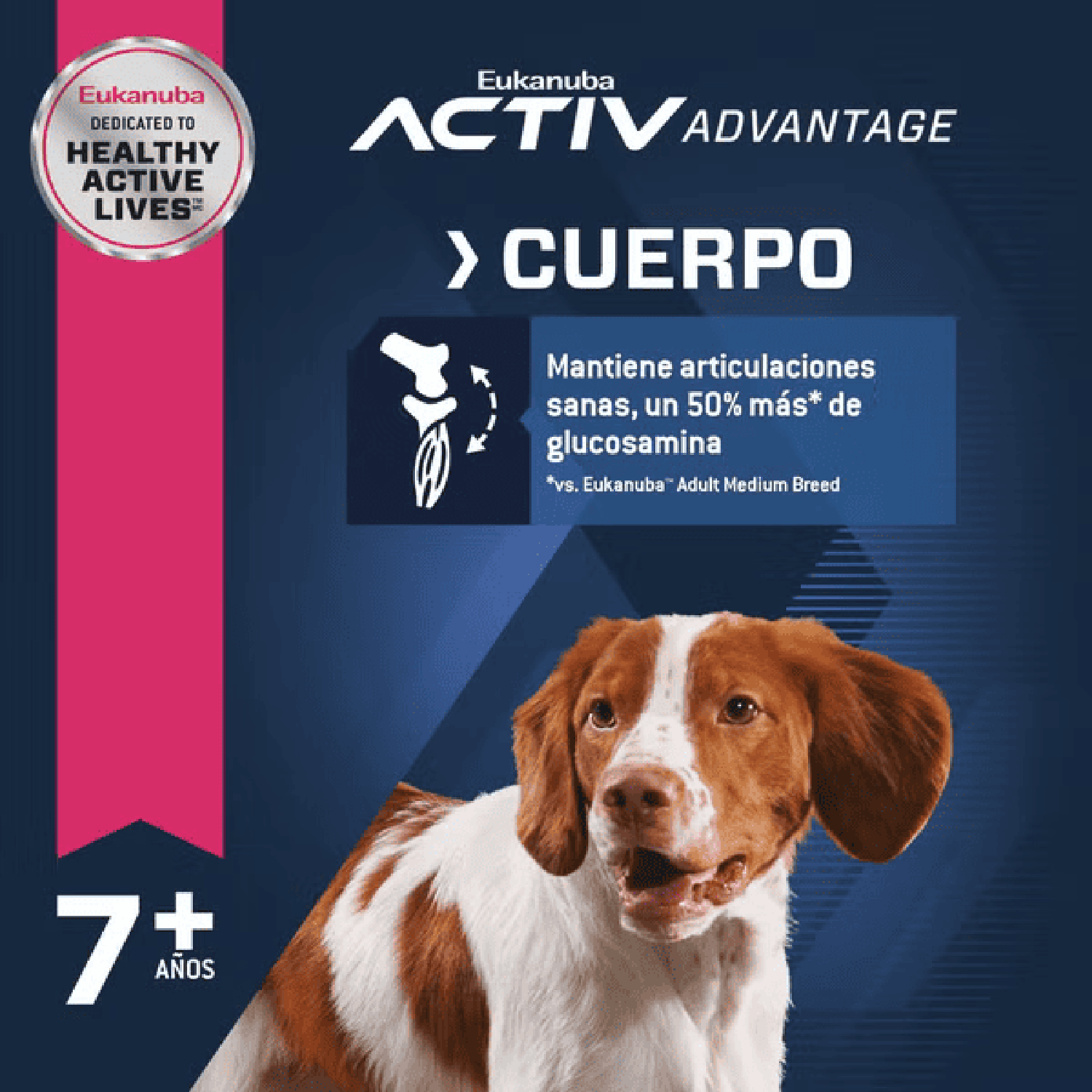 Eukanuba alimento para perro senior raza mediana 13.61kg | G.Valkyria - imagen 2
