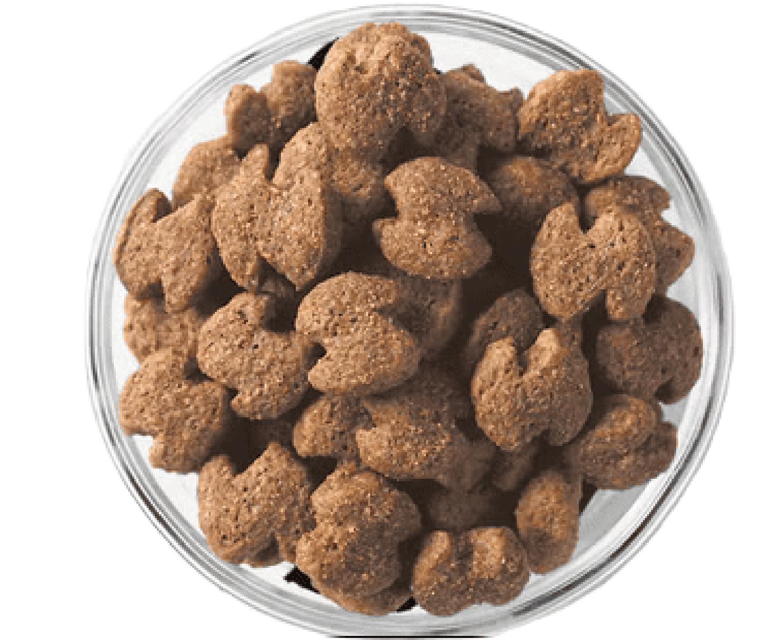 Eukanuba alimento para perro senior raza pequeña 2.04kg | G.Valkyria - imagen 2